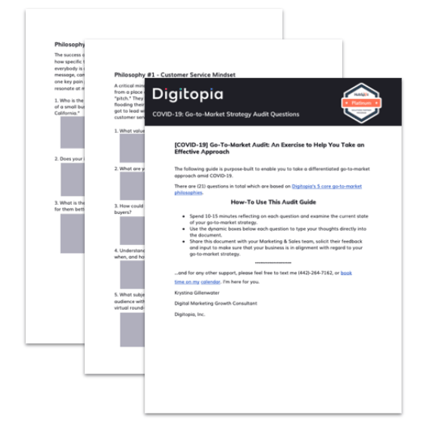 Go-To-Market Audit PDF Example
