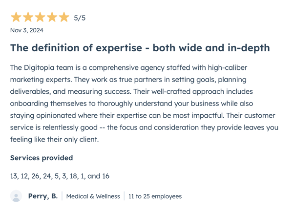 Hubspot 5-Star Review for Digitopia Perry B.