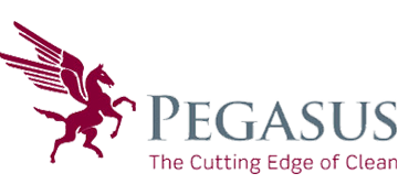 Pegasus Building Services | Digitopia
