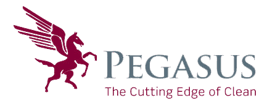 pegasus-building-services