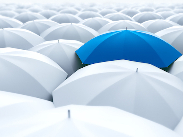 Control your brand with SEO | Digitopia
