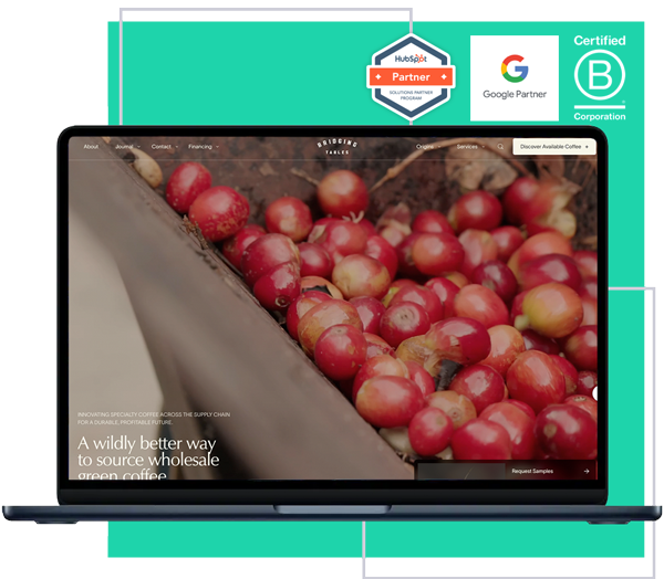 hero-digitopia-website-development-bt